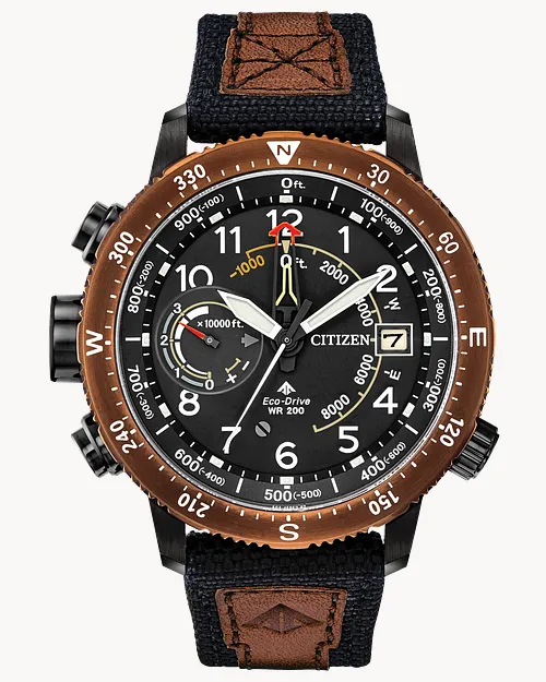 Citizen altichron review sale